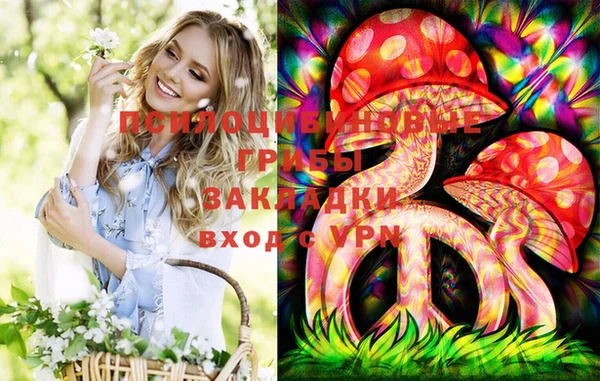 таблы Алзамай