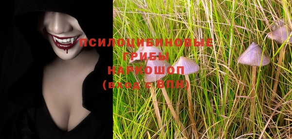 таблы Алзамай