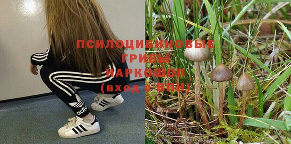 крисы Алексеевка