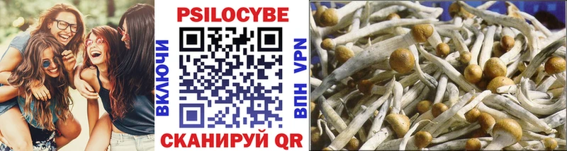 Галлюциногенные грибы Magic Shrooms  Кирс 